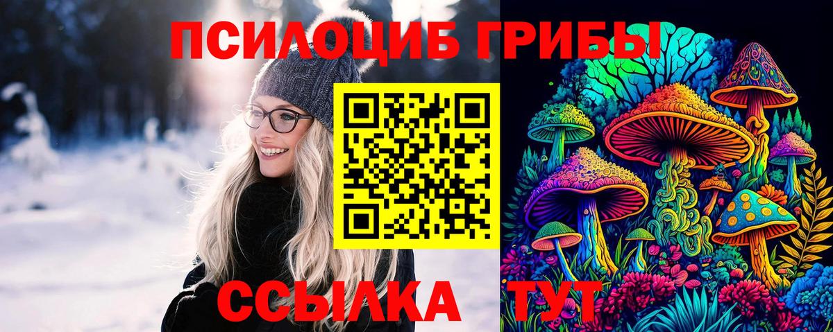 Новочеркасск  Галлюциногенные грибы Psilocybine cubensis  Вход с VPN 