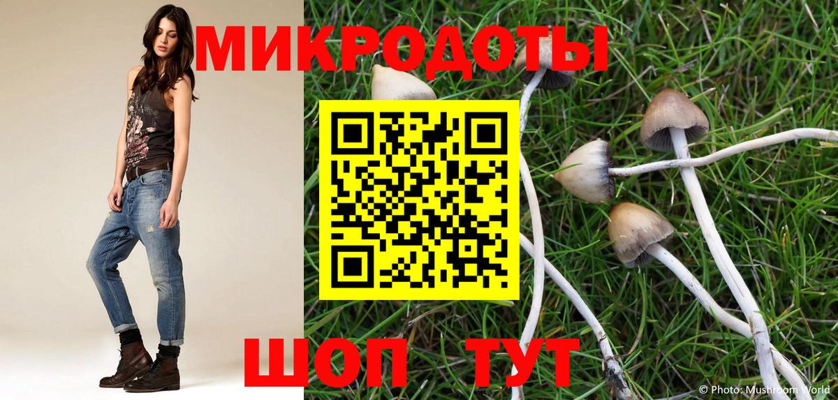 Галлюциногенные грибы мухоморы Новочеркасск